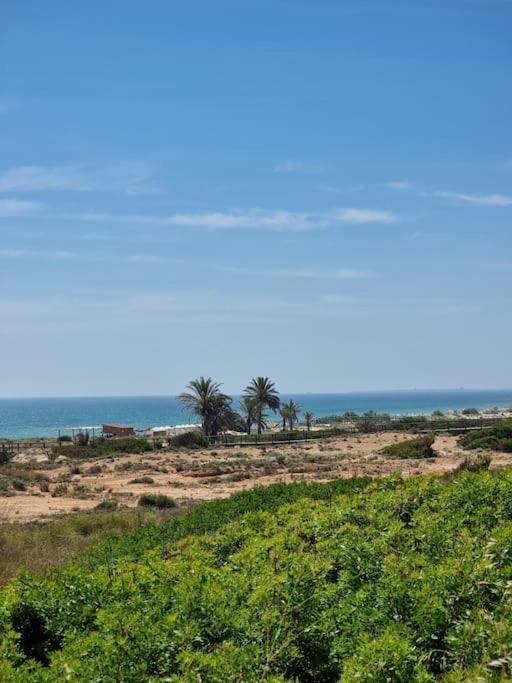 Marbella Sea View Apartament 아레날레스 델 솔 외부 사진